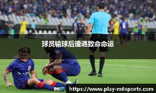 米乐体育平台